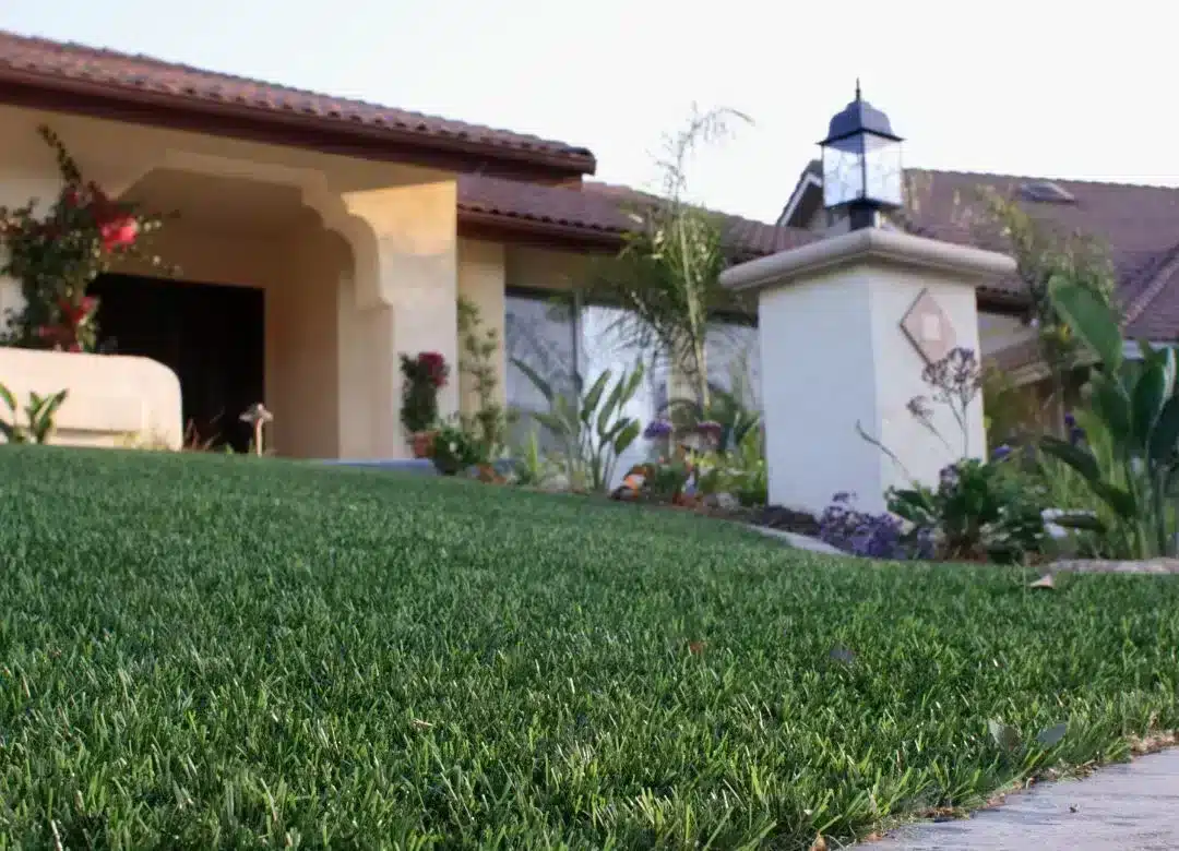 Guide pratique pour nettoyer en profondeur votre pelouse synthétique